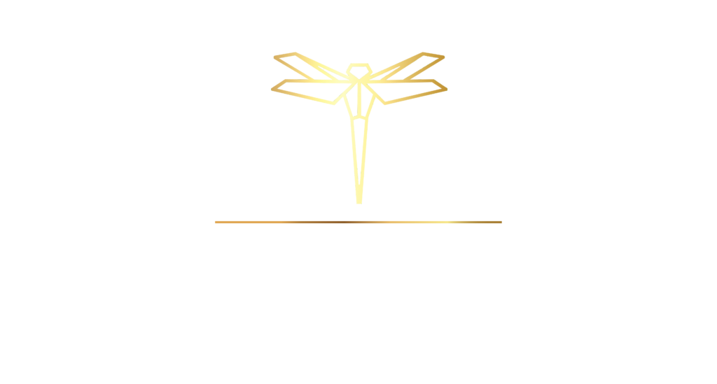 logo Zlatá vážka Ceny sociálního podnikání